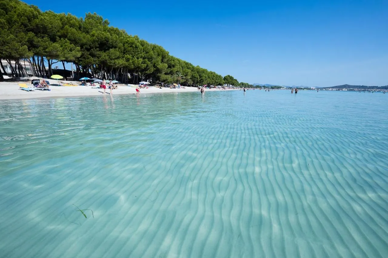 Sea Lovers Apartment الكوذيا